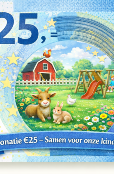 🧡 Donatie €25 — Super donor!