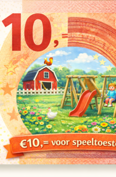 🛝 Bijdrage Speeltoestellen €10