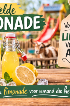 🥤 Uitgesteld Drankje — Ranja