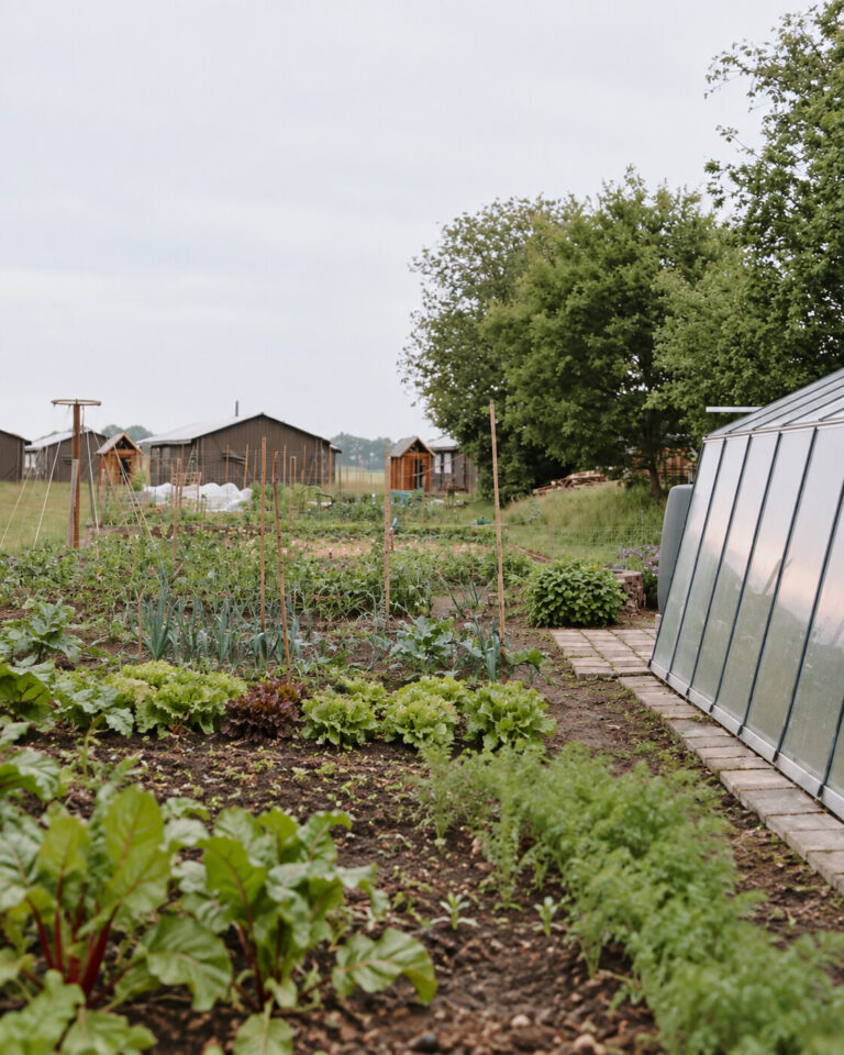 De moestuin